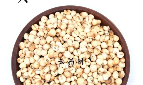 桃花的药用功效网 | 桃花的功效与用法,中草药地桃花的药用功效